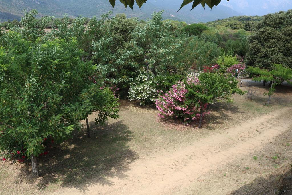 Camping Les Couchants Casaglione 外观 照片